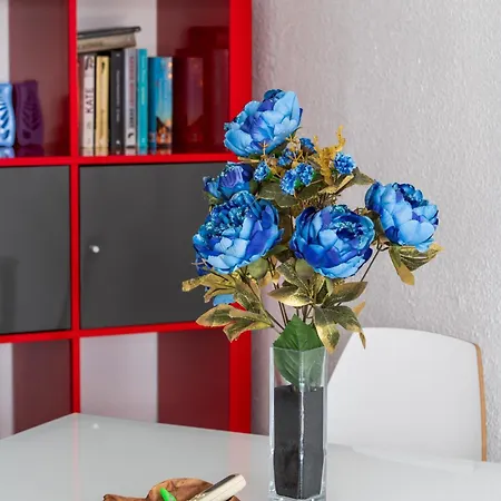 Ocean View أذيخي